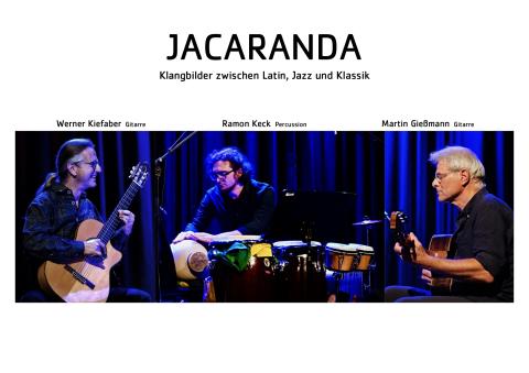 Jacaranda